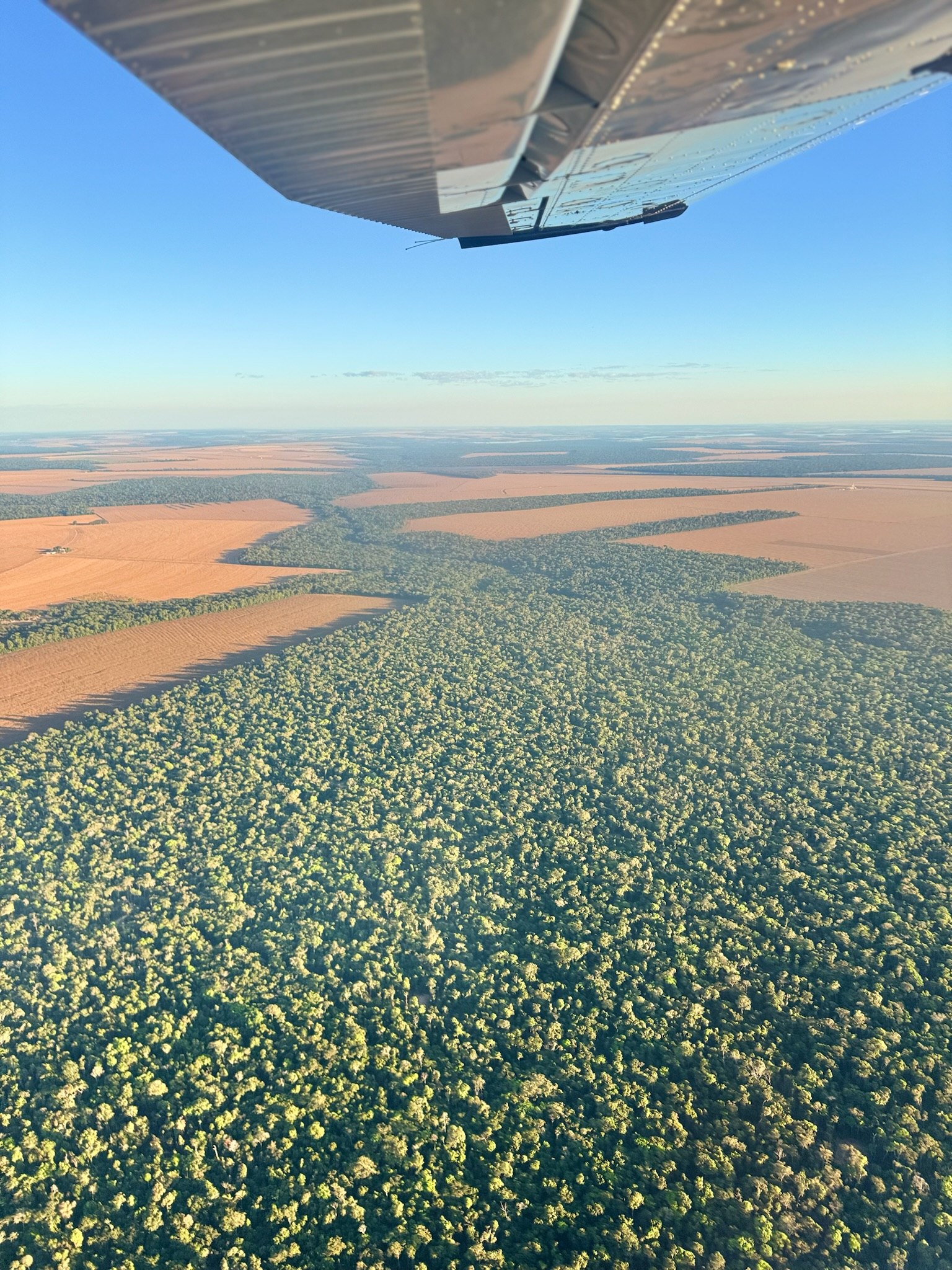 Vista aérea de fazendas próximas ao território