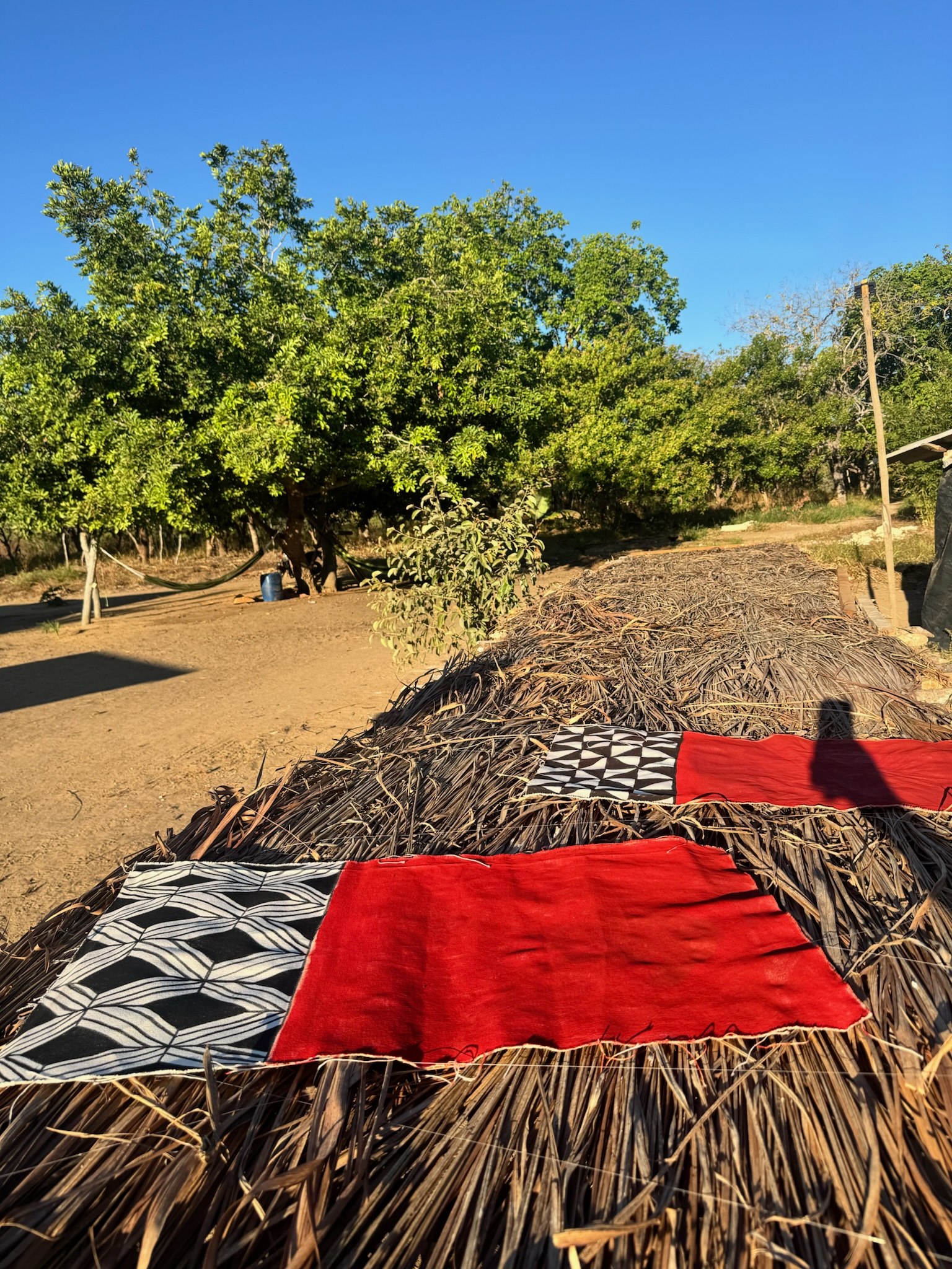 Caminho entre árvores frutíferas