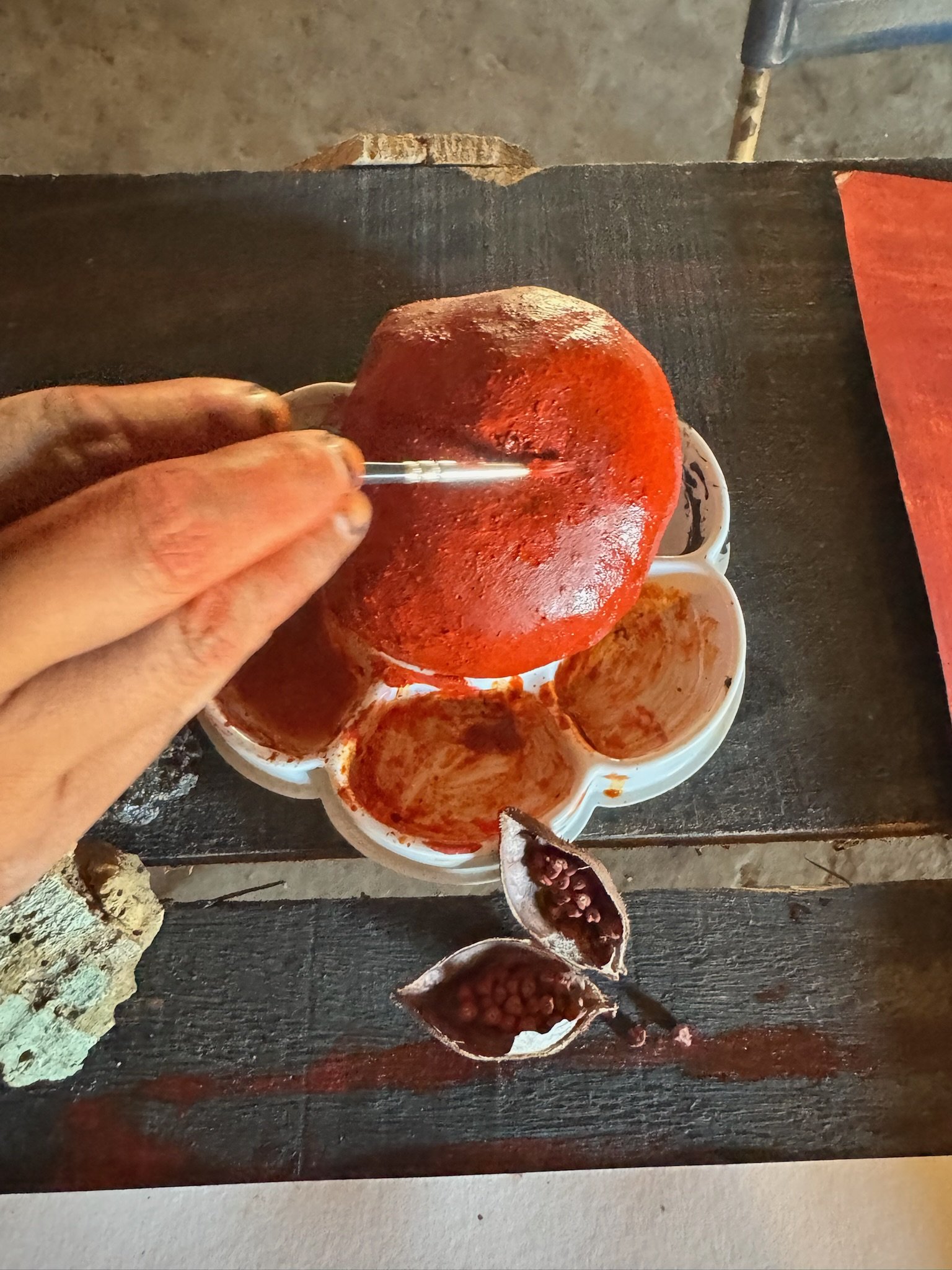 Mão descascando fruto de urucum