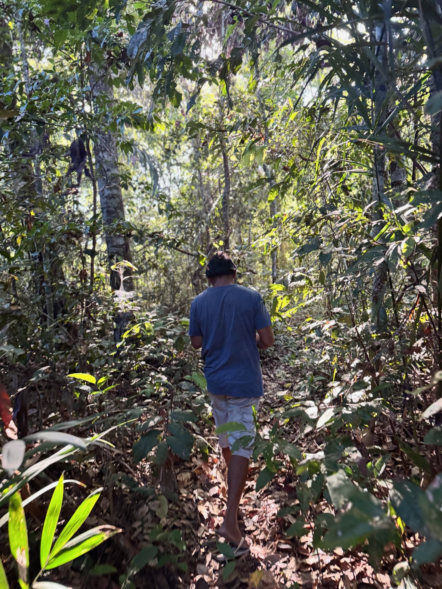 Pessoa caminhando por trilha na mata