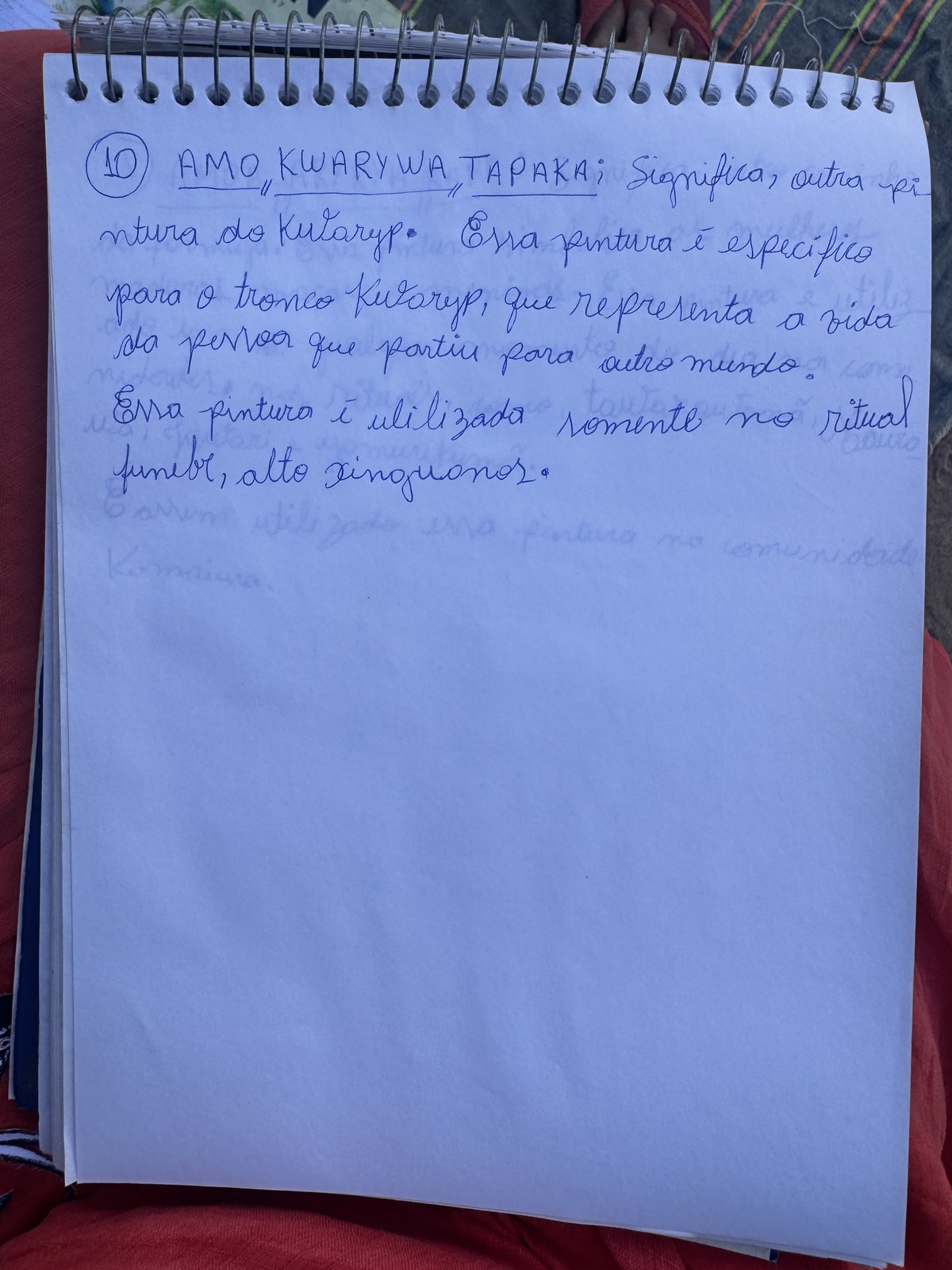 Ficha manuscrita 11 — AMOA ARYRYA RAPE